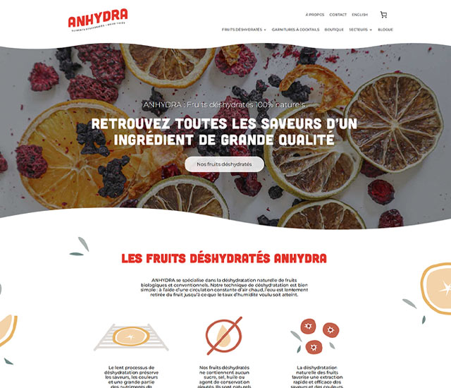 Projet ANHYDRA